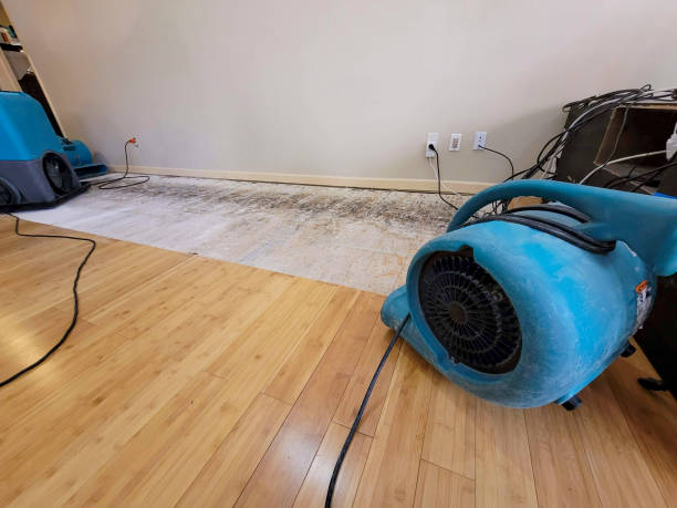 Professional Structural Drying technician working in Wampum, PA
